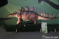 VBS_1078 - Dinosauri. Terra dei giganti